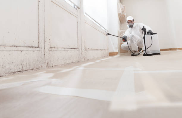 24/7 Emergency Mold Removal experts in Springfield, NJ